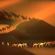 Мавритания, караван в пустыне